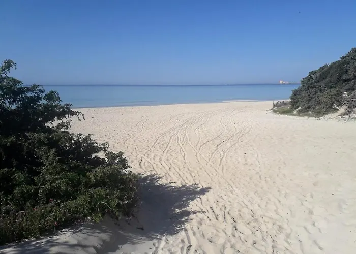 公寓 A 20 Metri Dalla